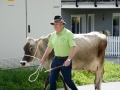 Jubiläumsausstellung - 100 Jahre Braunviehzuchtverein