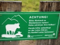 Der Almsommer rückt in greifbare Nähe