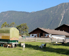 Bauern der 4. Generation – Wohnen und Arbeiten am Berg