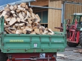 Brennholz für den Winter