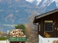 Brennholz für den Winter