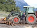 Brennholz für den Winter