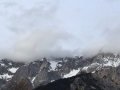 Brennholz für den Winter
