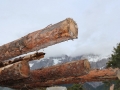 Brennholz für den Winter