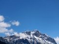 Charakter der Kuh