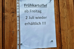 Die ersten Frühen werden geerntet