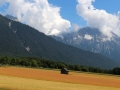 Neuer Offenstall – “Unsere Kälber sollen gesund aufwachsen”