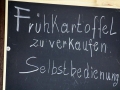 Neuer Offenstall – “Unsere Kälber sollen gesund aufwachsen”