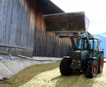 Frühkartoffeln – Erntefrische Bodenschätze aus Mieming