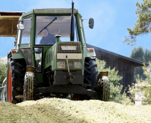 Frühkartoffeln – Erntefrische Bodenschätze aus Mieming