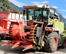 Frühkartoffeln – Erntefrische Bodenschätze aus Mieming