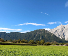 Frühkartoffeln – Erntefrische Bodenschätze aus Mieming