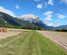 Frühkartoffeln – Erntefrische Bodenschätze aus Mieming