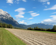 Frühkartoffeln – Erntefrische Bodenschätze aus Mieming