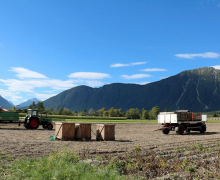 Frühkartoffeln – Erntefrische Bodenschätze aus Mieming