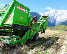 Frühkartoffeln – Erntefrische Bodenschätze aus Mieming