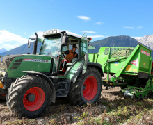 Frühkartoffeln – Erntefrische Bodenschätze aus Mieming