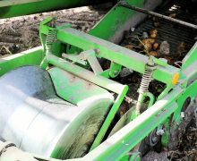Frühkartoffeln – Erntefrische Bodenschätze aus Mieming