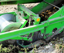 Frühkartoffeln – Erntefrische Bodenschätze aus Mieming