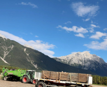 Frühkartoffeln – Erntefrische Bodenschätze aus Mieming