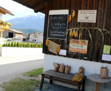 Frühkartoffeln – Erntefrische Bodenschätze aus Mieming