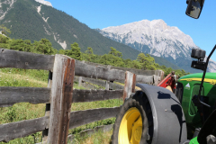 Getreide für eine gesunde Milch
