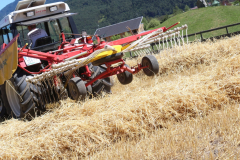 Getreide für eine gesunde Milch