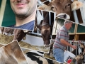 stallcollage