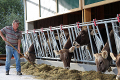 Kälberaufzucht – Jungvieh-Offenstall in Betrieb