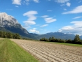 Mais- und Kartoffelernte