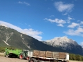 Mais- und Kartoffelernte