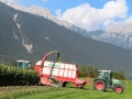 Maisernte 2013