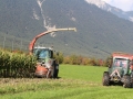 Maisernte 2013