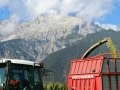 Maisernte 2013