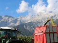 Maisernte 2013