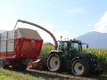 Maisernte 2013
