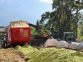 Maisernte 2013