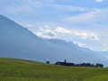 Maisernte 2013