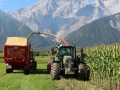 Maisernte 2013