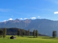 Maisernte 2013