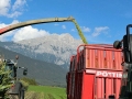 Maisernte 2013