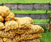 Oberdarfler Bauernherbst 2015