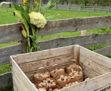 Oberdarfler Bauernherbst 2015