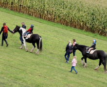 Oberdarfler Bauernherbst 2015