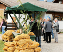 Oberdarfler Bauernherbst 2015