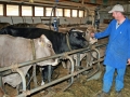 Milchwirtschaft: “Cattle first”