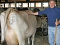 Milchwirtschaft: “Cattle first”