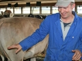 Milchwirtschaft: “Cattle first”